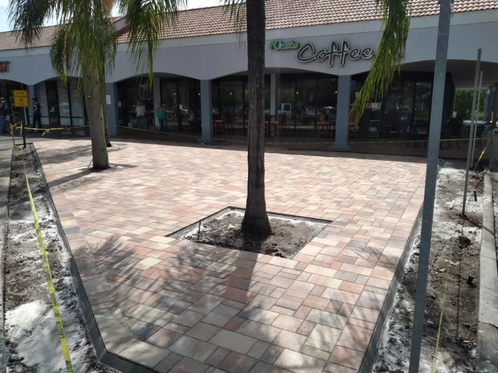 backyard pavers around tree